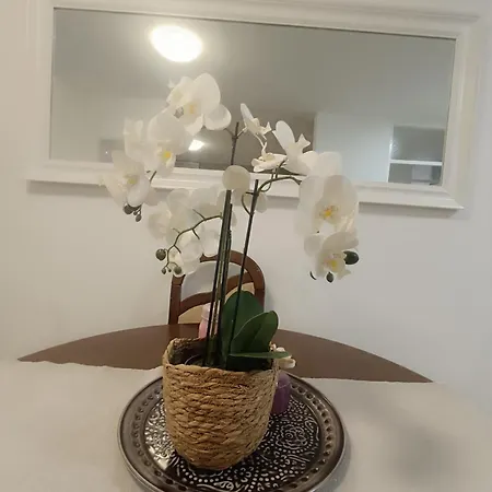 Διαμέρισμα Aura *