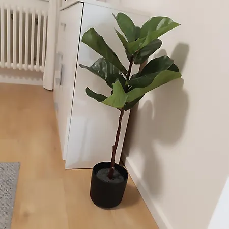 Διαμέρισμα Aura Σαράγεβο